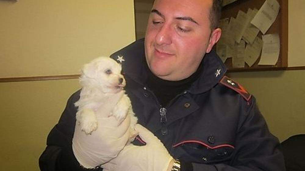 Italienische Polizisten wurden für Hundewelpen zu "Weihnachtsengeln"