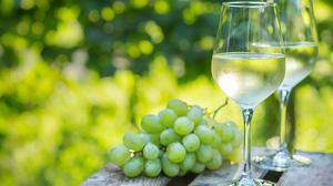 Die Oststeiermark hat sich in den letzten 30 Jahren zu einer ausgezeichneten Weinregion entwickelt