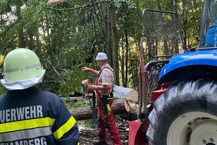 Ab 5 Uhr wurden weiters die Feuerwehren Schamberg, Groß St. Florian und Freidorf alarmiert. In Freidorf stürzte ein Baum sogar auf ein Auto. Verletzt wurde dabei aber niemand.