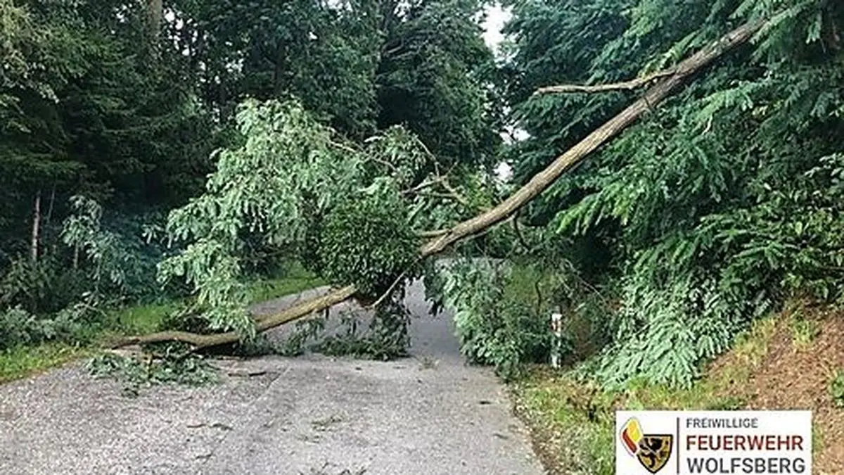 Die Feuerwehrkameraden mussten die Straßen von umgefallenen Bäumen befreien