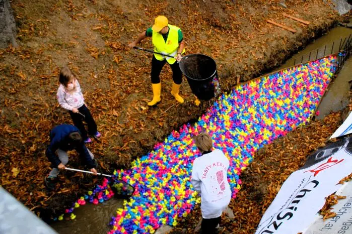 Um 14 Uhr hieß es dann endlich  „Köpfchen in das Wasser, Schwänzchen in die Höh“ und losging die rasante Fahrt. 