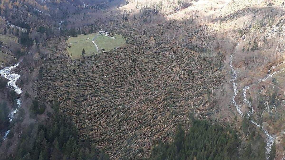 Die Untere Valentinalm nahe dem Plöckenpass nach Sturm „Vaia“ 	 