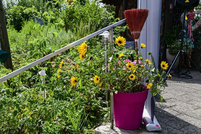 Ein Radio Steiermark-Team mit Eva Pöttler und Thomas Seidl als Moderatoren gastierten mit "Heimatsommer" für drei Stunden in dem blühenden Garten