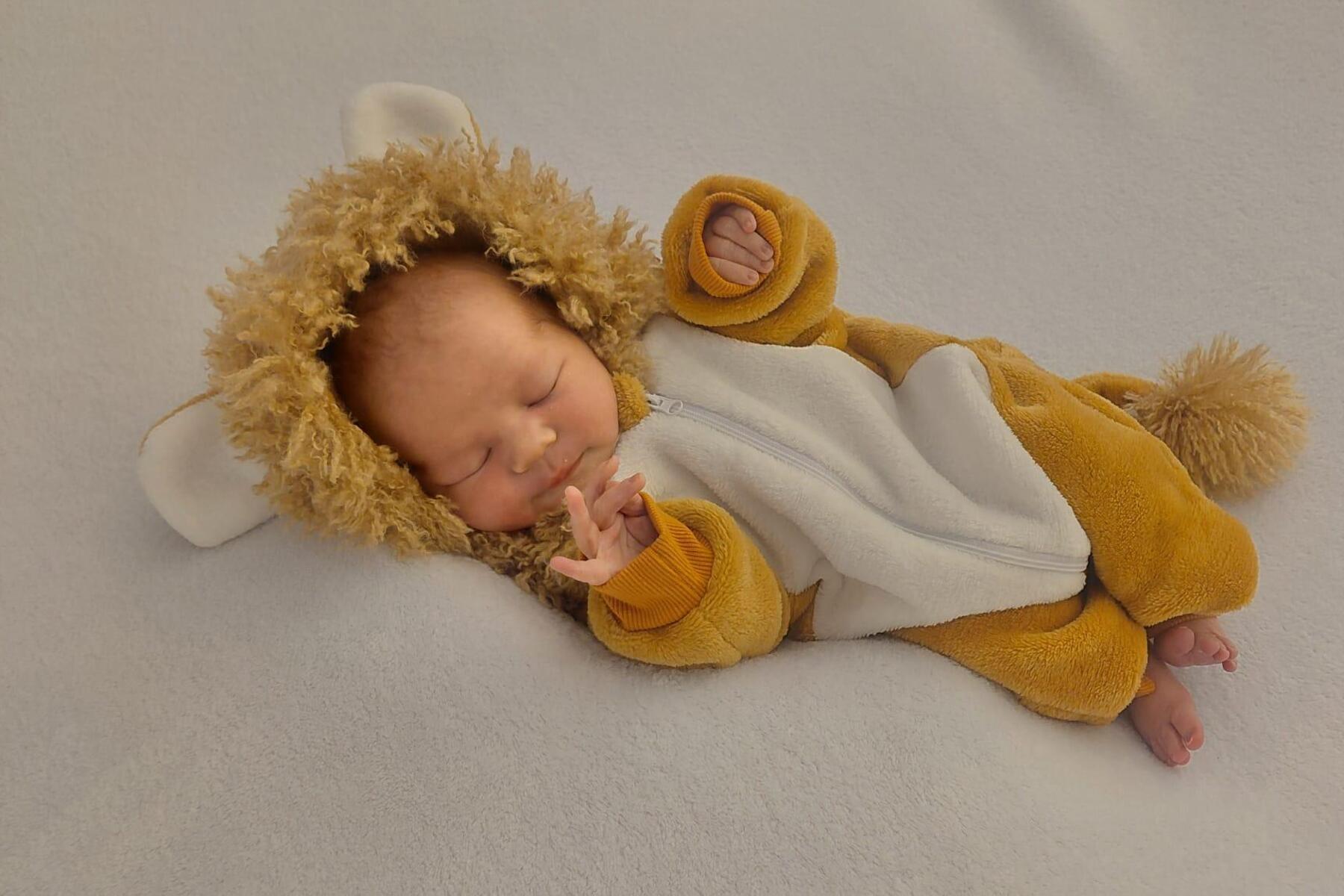 Babys: Sprösslinge aus dem Mürztal, Hurra wir sind da