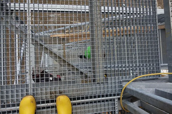 126 Stufen führen hinauf zur Plattform des Sprungrichterturms.