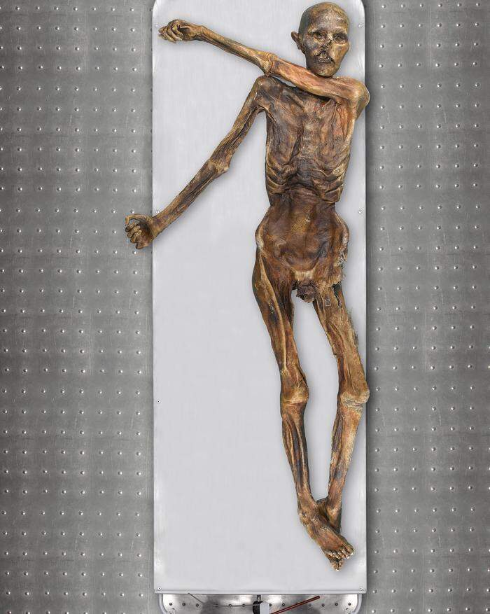 An der Mumie sieht man Ötzis wirkliche Hautfarbe 
