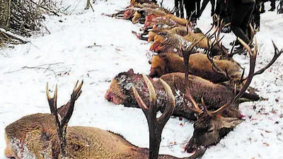 Bilder wie dieses ließen die Wogen hochgehen. Ob auf den Leserbriefseiten oder in den Diskussionsforen im Internet