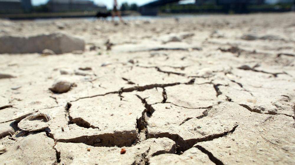 Deutschland kämpft gegen lange Dürreperioden