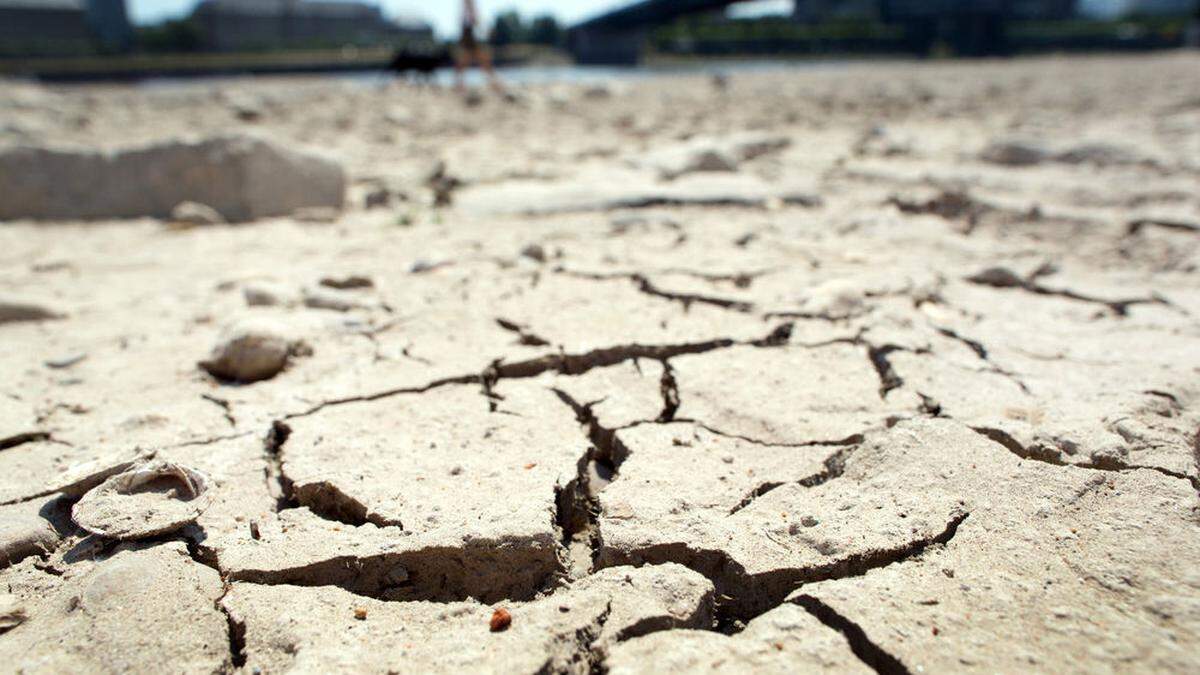 Deutschland kämpft gegen lange Dürreperioden