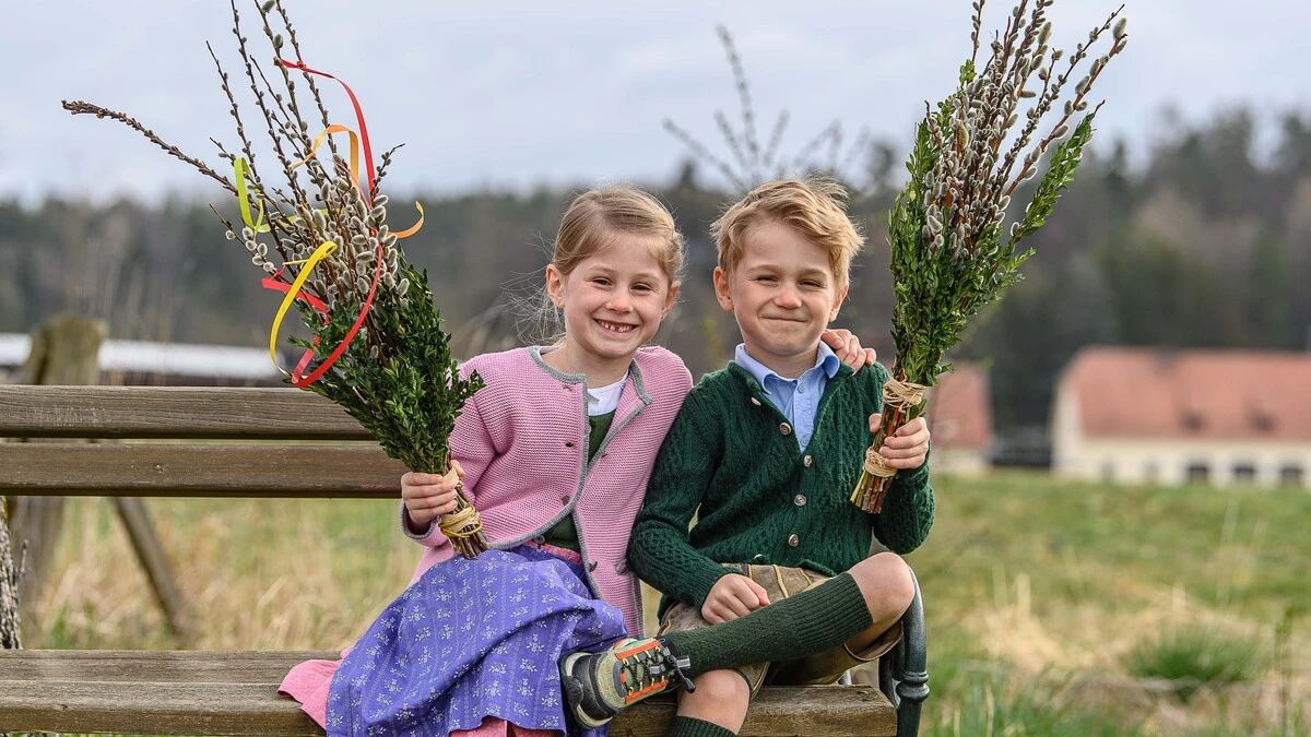 Palmkätzchen werden überall in der Steiermark für den Palmbuschen verwendet