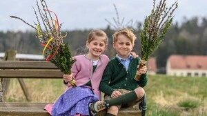 Palmkätzchen werden überall in der Steiermark für den Palmbuschen verwendet