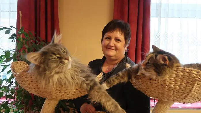 Martina Brandegger mit zwei von ihren vier Katzen