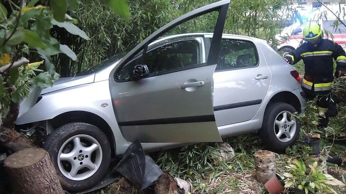Der Pkw durchbrach eine Bambushecke und stieß gegen einen Baum