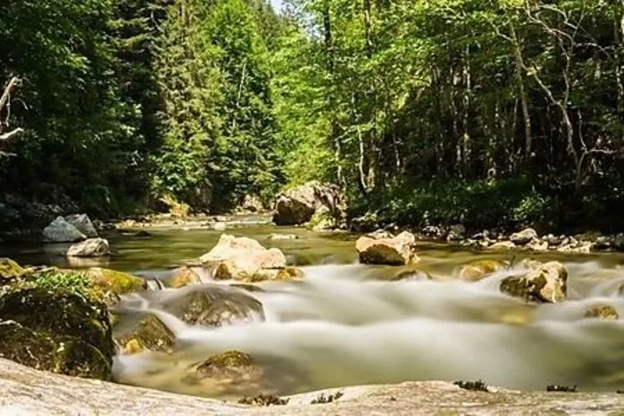 Die Salza ist heute einer der naturbelassensten Wildflüsse der Ostalpen. Zum Angeln, Kajaken und Raften oder auch einfach zum Abkühlen an heißen Tagen ist die bewaldete Klamm ideal. Ein 7,7 Kilometer langer Rundwanderweg führt von Mariazell aus am Fluss entlang.
