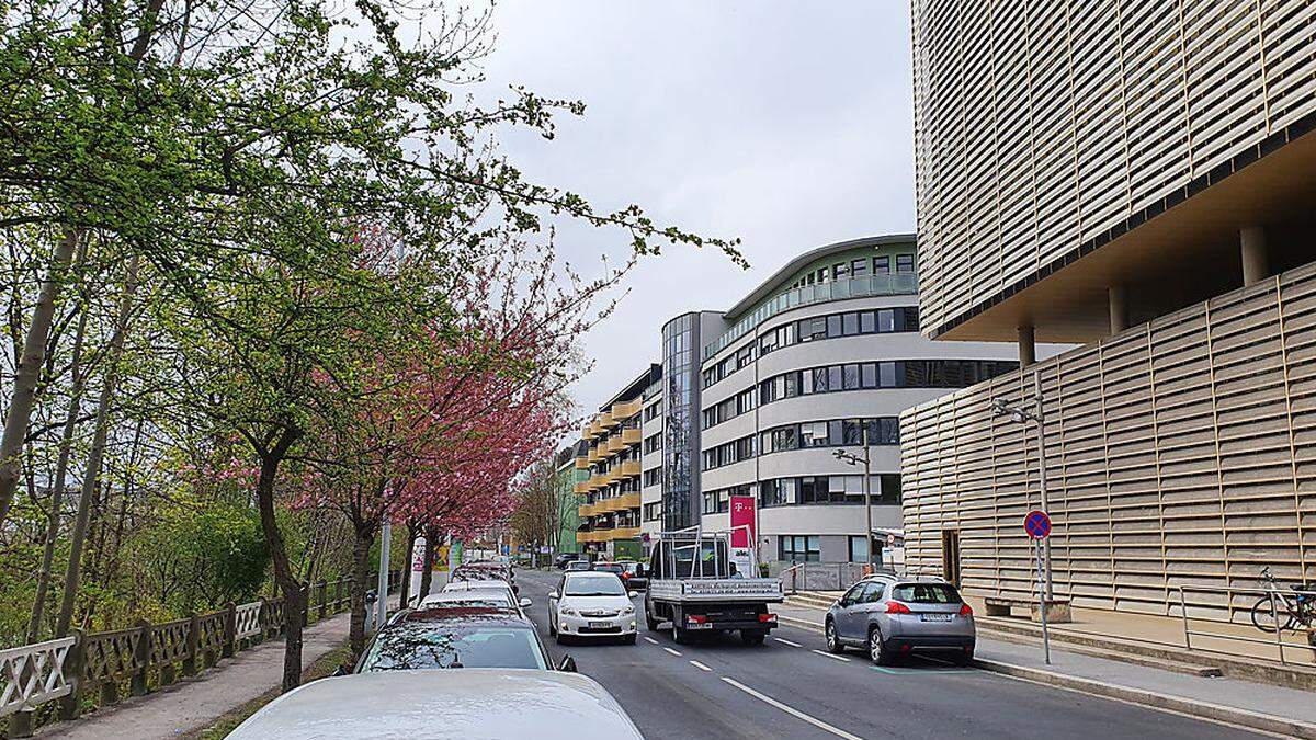 Der Grieskai hat derzeit vier Spuren für Autos (Parken und Fahren), einen Gehweg - aber keinen Platz für Radfahrer