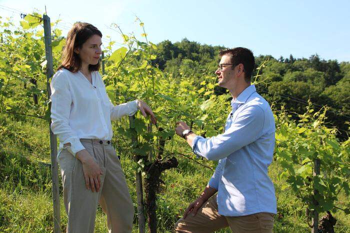 Katharina Tinnacher und René Kollegger stellen im Gespräch am Weingut Lackner-Tinnacher fest: " „Die vermeintlich kleine Rebsorte kann mit Sorgfalt im Weingarten und Weinkeller auch ganz groß sein."