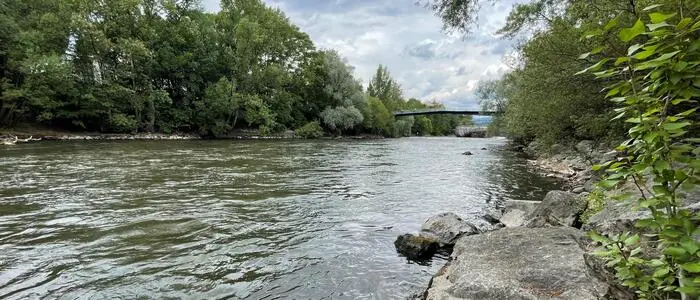 Blick auf die Wasseroberfläche der Mur vom Ufer aus