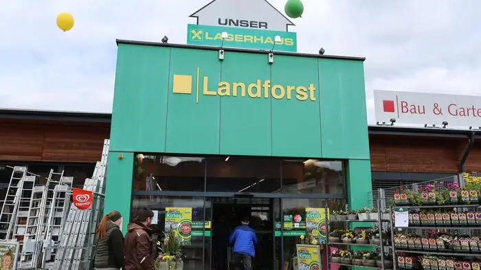 Sägespäne flogen am Sonntag beim Landforstkirtag durch die Luft als die Landjugendbezirke der Obersteiermark ihren Forstwettkampf starteten
