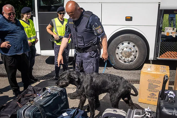 Drogenspürhund Smaug durchsucht Gepäckstücke von Busreisenden.
