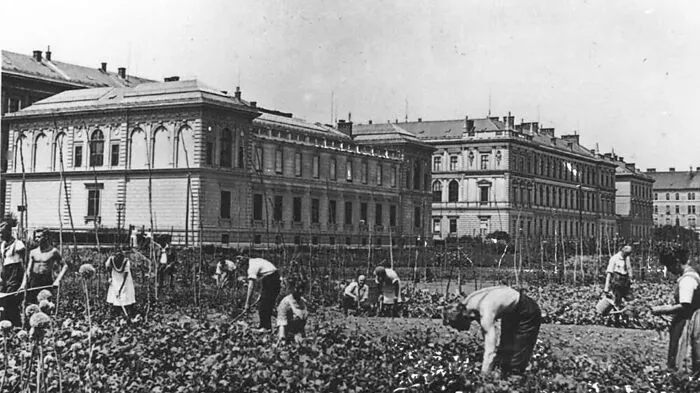 Während des Ersten Weltkrieges wurden aus den Wiesen rund um die Universität Äcker, um die Ernährung der Studenten und Professoren sicher zu stellen.