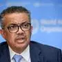 World Health Organization (WHO) Director-General Tedros Adhanom Ghebreyesus attends a daily press briefing on the new coronavirus dubbed COVID-19, at the WHO headquaters on March 2, 2020 in Geneva. - The World Health Organization said that the number of new coronavirus cases registered in the past day in China was far lower than in the rest of the world. (Photo by FABRICE COFFRINI / AFP)