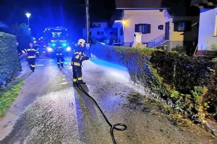 Die Stadtfeuerwehr Weiz rückte mit 16 Leuten und drei Fahrzeugen aus, um die rund zwei betroffenen Meter der Hecke zu löschen.