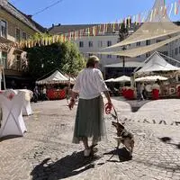 Vormittags ist die Frequenz (wie am Foto) noch geringer, in den Abendstunden kann es für Hunde am Gelände mitunter gefährlich werden