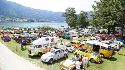 Blick auf die "Käfer-Invasion" am See