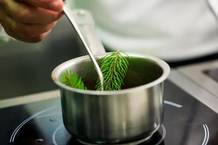 Warum Rosmarin importieren, wenn vor der Tür eine Fichte steht? Marko Pavčnik kocht mit dem, was Wald und Wiese hergeben – nachhaltig, eigenständig und erfreulich wild.