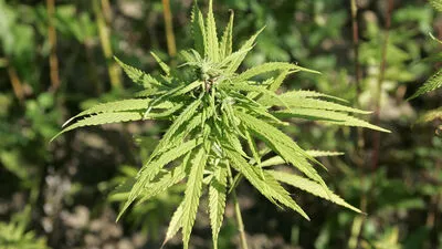 Turbulenter Deal in der Leopoldstadt 