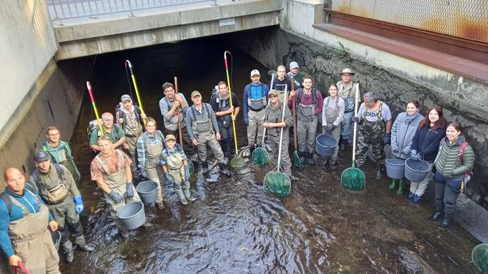 Das Team des Arbeiterfischervereins hat dieser Tage Tausende Fische aus 23 Arten aus dem Grazer Mühlgang evakuiert und so vor dem sicheren Verenden gerettet.