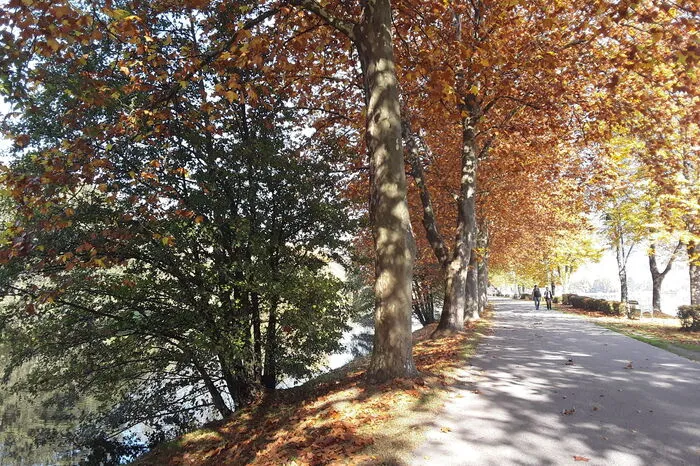 Ein bunter Spaziergang am Stubenbergsee.