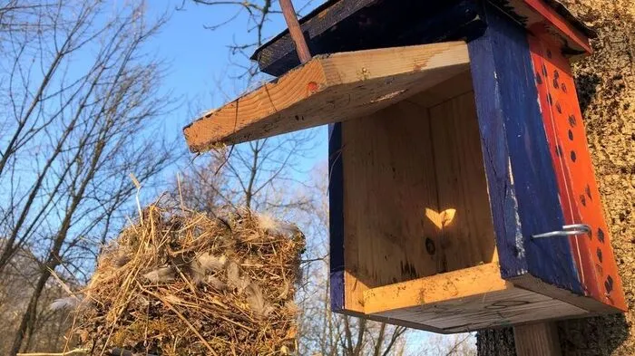 Ein Brutkasten im Vogelwald Goldbrunnteich-Au in Baldramsdorf