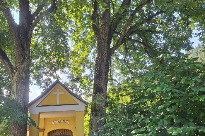 „In Bäumen eingebettet und in Sonnenlicht getaucht. Diese wunderschöne Kapelle steht am Wegesrand in Kleinlobming“, so Carmen Haberleitner über ihr Bild.