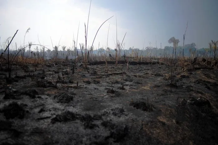 Seit Jänner stieg die Zahl der Feuer und Brandrodungen im größten Land Südamerikas im Vergleich zum Vorjahreszeitraum nach Angaben der brasilianischen Weltraumagentur INPE um 78 Prozent auf mehr als 80.000 Brände.