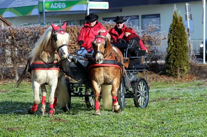 Es gab auch sehr schöne Gespanne zu sehen.