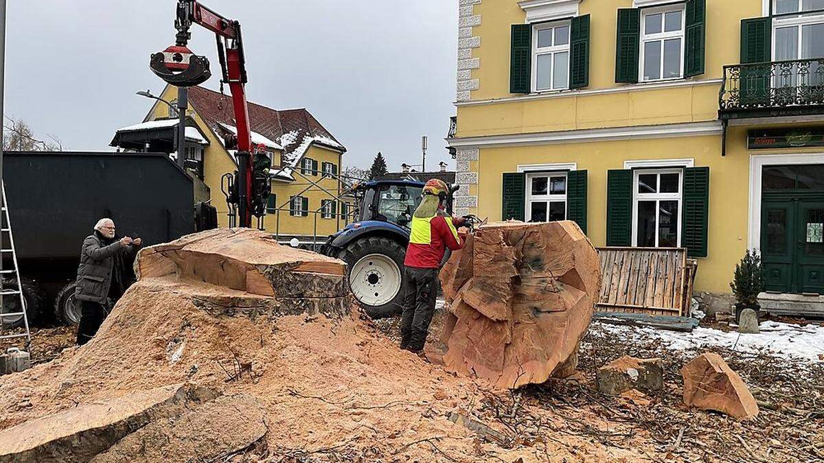 In Pörtschach wurde eine bekannte Platane gefällt