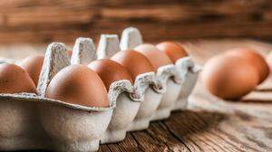 Teure Futtermittel machen den Eierproduzenten zu schaffen