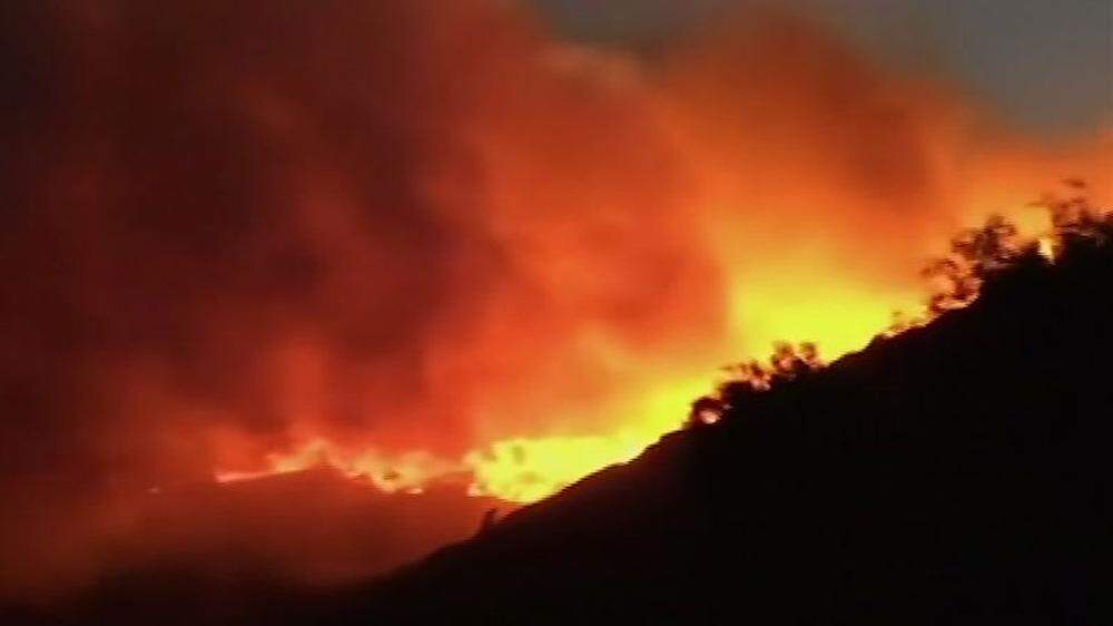 Neuerlicher Waldbrand in Portugal