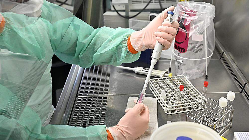 In einem Wiener Labor wird die Probe des Kärntners untersucht