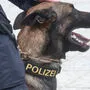 Polizeihund