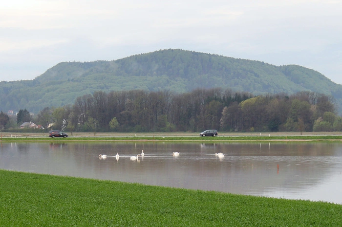 Überschwemmte Ackerflächen im Raum St. Georgen an der Stiefing von am Dienstagvormittag