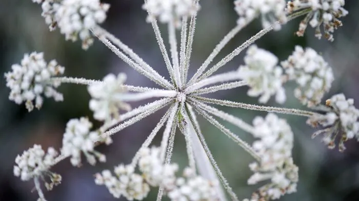 Väterchen Frost hat Europa im Griff. Die schönsten Impressionen des kalten Winterwetters zum Durchklicken...