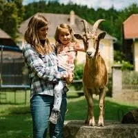 Mehr als vier von zehn Gästen legen besonderen Wert auf bäuerliche Aktivitäten und Familienerlebnisse