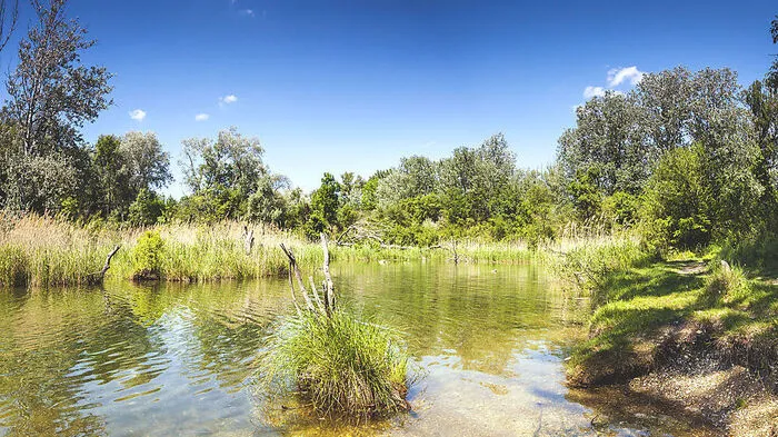 Wien: Die Bundeshauptstadt ist mit vielem gesegnet, vor allem aber auch mit Naherholungsgebieten wie der Lobau. Die Dechantlacke ist nur einer von zahlreichen Naturbadeplätzen in der faszinierenden Auenlandschaft.