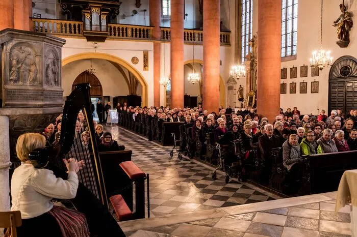 Ein Teil der Einnahmen wird auch dieses Jahr der Aktion „Kärntner in Not“ zugute kommen. Unter anderem zu hören waren die Lieder „Nebel steigt aus'n See“ von Hedi Preissegger oder „Schean still follt dar Schnee“ von Gerhard Glawischnig und Günther Mittergradnegger.