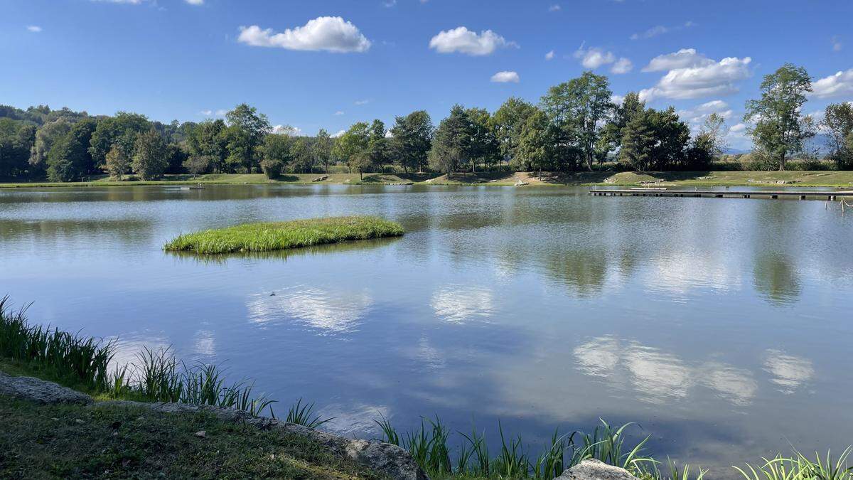 Beim Naturbadeteich in Großsteinbach starben plötzlich Dutzende Fische