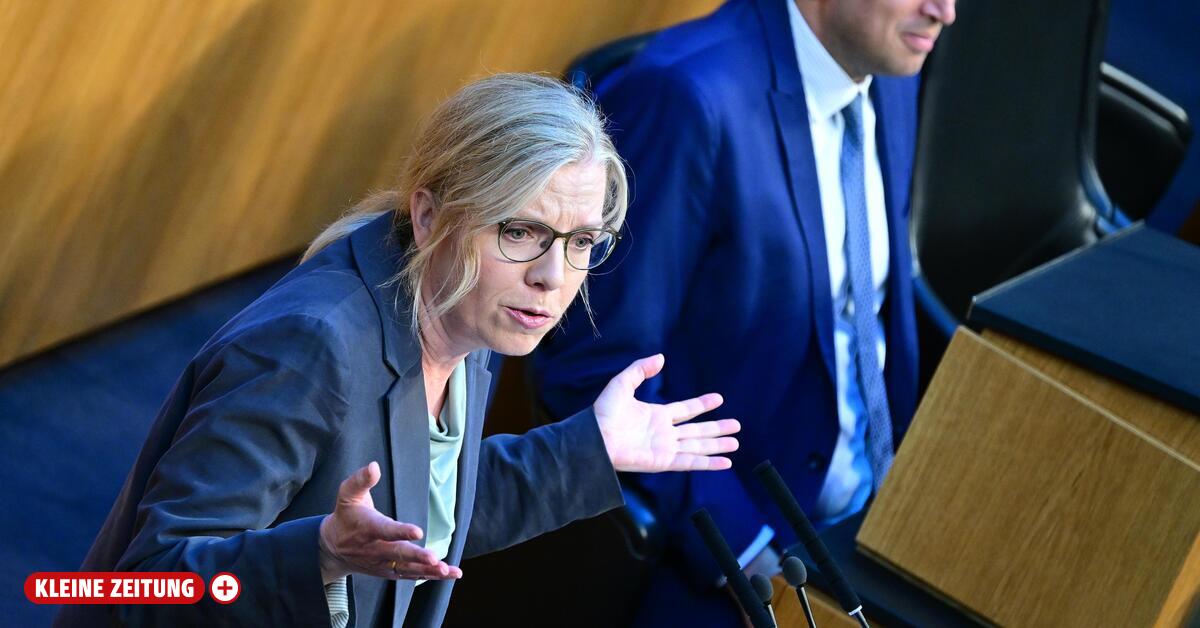 Green light for controversial fuel price cap