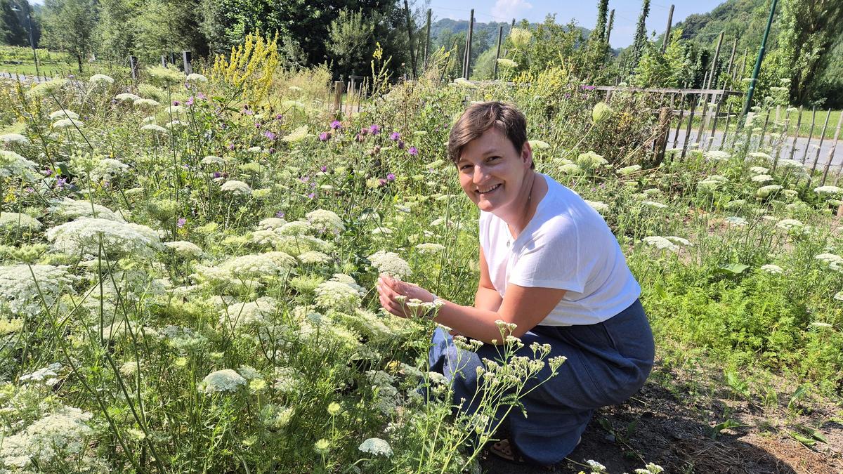 Biologin Anna Luidold vom Naturpark Südsteiermark ist Expertin für Biodiversität