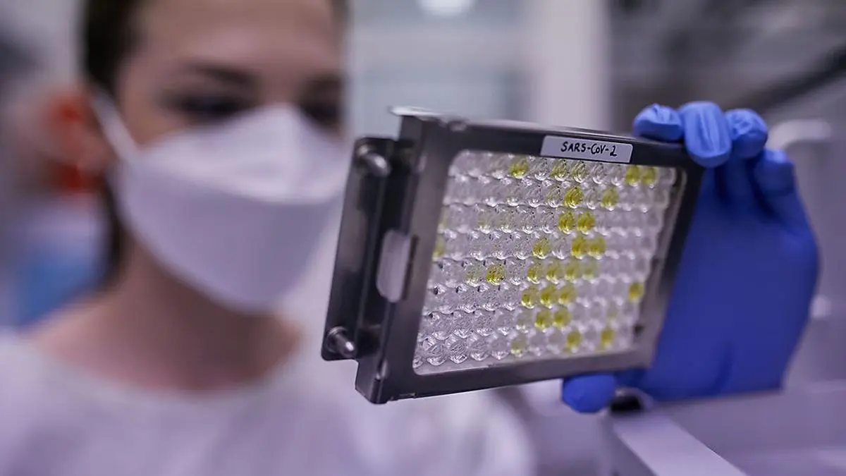 Analysiert wurden Antikörper, die aus dem Blut von 40 Erwachsenen isoliert wurden